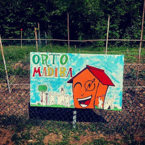 Orto Madiba Autogestito - OGM Free